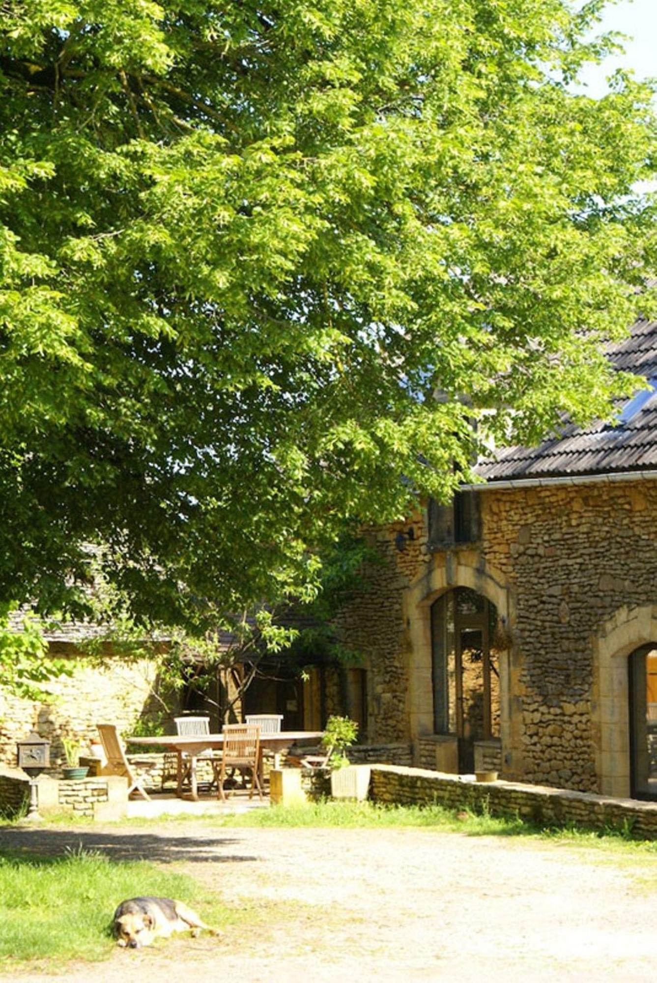 Bed and Breakfast La Ferme Du Pech Saint-Genies Exterior foto